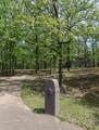 329 Wishing Tree Lane - Photo 10
