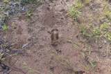 00 Ballentine Rd - Photo 12