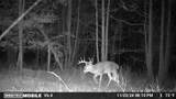 00 Ballentine Rd - Photo 54