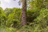 00 Ballentine - Photo 5