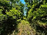 000 Hwy 32 - Photo 41