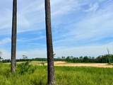 TBD County Road 107 - Photo 10