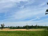 TBD County Road 107 - Photo 11