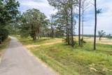 TBD County Road 107 - Photo 3