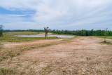TBD County Road 107 - Photo 5