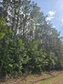 153 County Road 123 - Photo 6