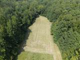 178 Mule Pulling Road - Photo 92