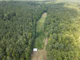 178 Mule Pulling Road - Photo 94