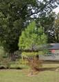 32 Cr 156 ( Tommie Jane Collie Road) - Photo 3