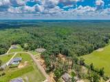 619 Greenhaven - Photo 14