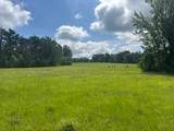 858 Hwy 331 - Photo 1