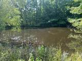 858 Hwy 331 - Photo 15