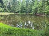 858 Hwy 331 - Photo 19