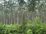 858 Hwy 331 - Photo 22