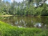 858 Hwy 331 - Photo 3