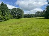 858 Hwy 331 - Photo 31