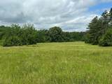 858 Hwy 331 - Photo 6