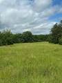 858 Hwy 331 - Photo 7