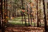 520 Hwy. 334 - Photo 74