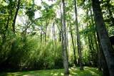 813 County Road 102 - Photo 29