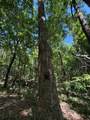 000 San Roc Road - Photo 8