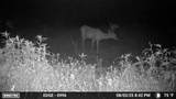 00 Hwy 9 - Photo 13