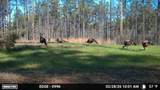 00 Hwy 9 - Photo 14