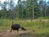00 Hwy 9 - Photo 18