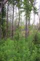 00 Hwy 9 - Photo 19