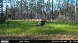 00 Hwy 9 - Photo 48