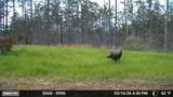 00 Hwy 9 - Photo 51