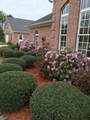 630 Hwy 342 - Photo 4