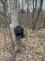 50026 Hadley Dr - Photo 18