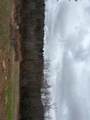 50026 Hadley Dr - Photo 20