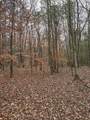 50026 Hadley Dr - Photo 3