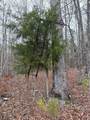 50026 Hadley Dr - Photo 34