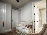 434 Live Oak Drive - Photo 19