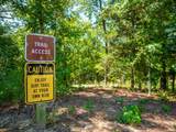 434 Live Oak Drive - Photo 28