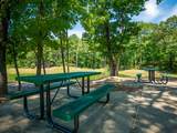 434 Live Oak Drive - Photo 30