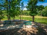 434 Live Oak Drive - Photo 31