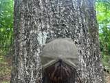 00 Gillis Road - Photo 16