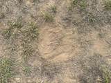 00 Gillis Road - Photo 29