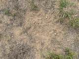 00 Gillis Road - Photo 30