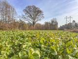 tbd Chinquapin Road - Lexington - Holmes County - Photo 126