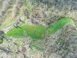 tbd Chinquapin Road - Lexington - Holmes County - Photo 39