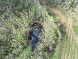 tbd Chinquapin Road - Lexington - Holmes County - Photo 47