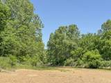 tbd Chinquapin Road - Lexington - Holmes County - Photo 62