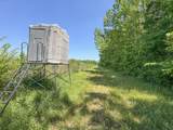 tbd Chinquapin Road - Lexington - Holmes County - Photo 63
