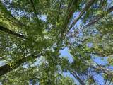 tbd Chinquapin Road - Lexington - Holmes County - Photo 65