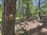 tbd Chinquapin Road - Lexington - Holmes County - Photo 66